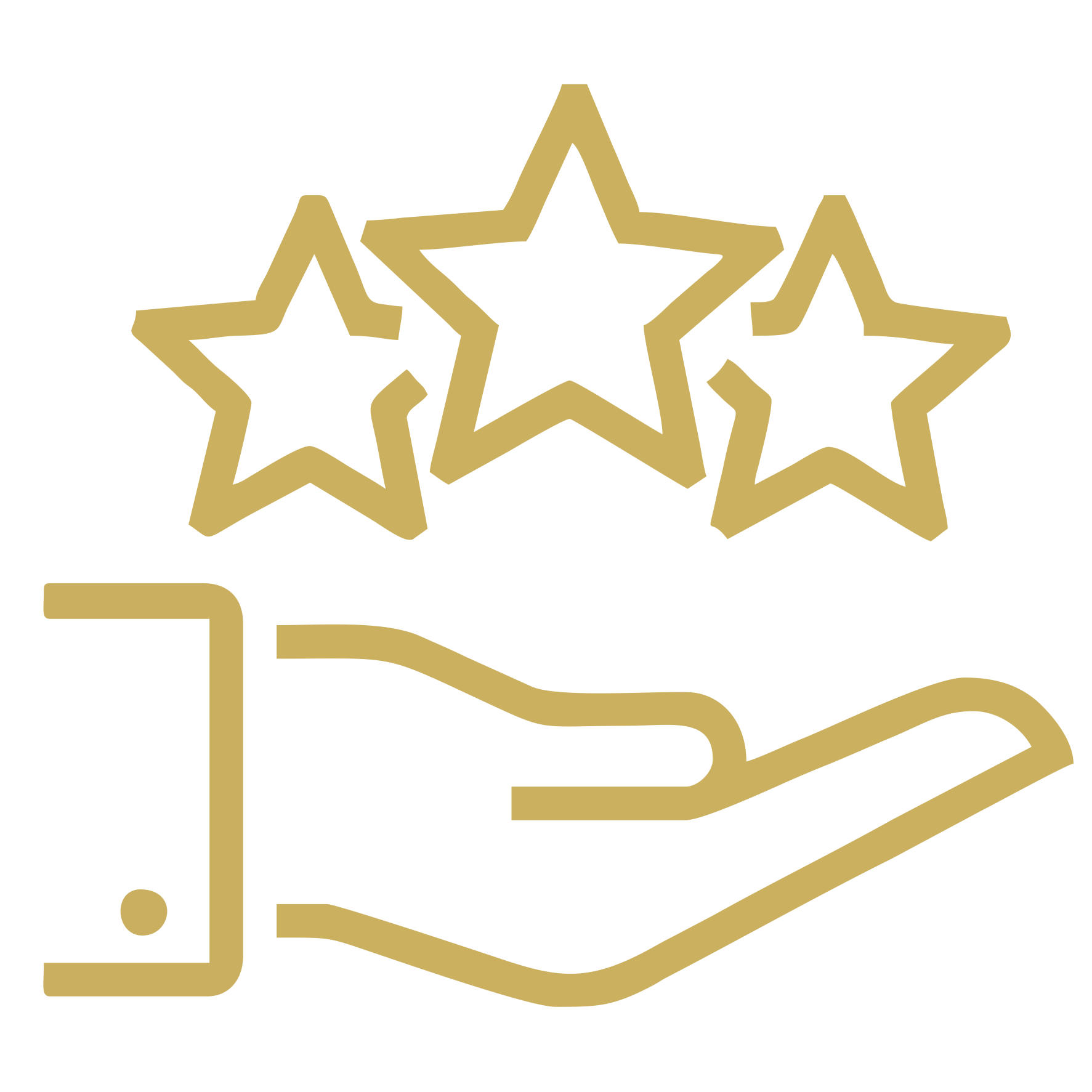 icon of a hand holding three stars